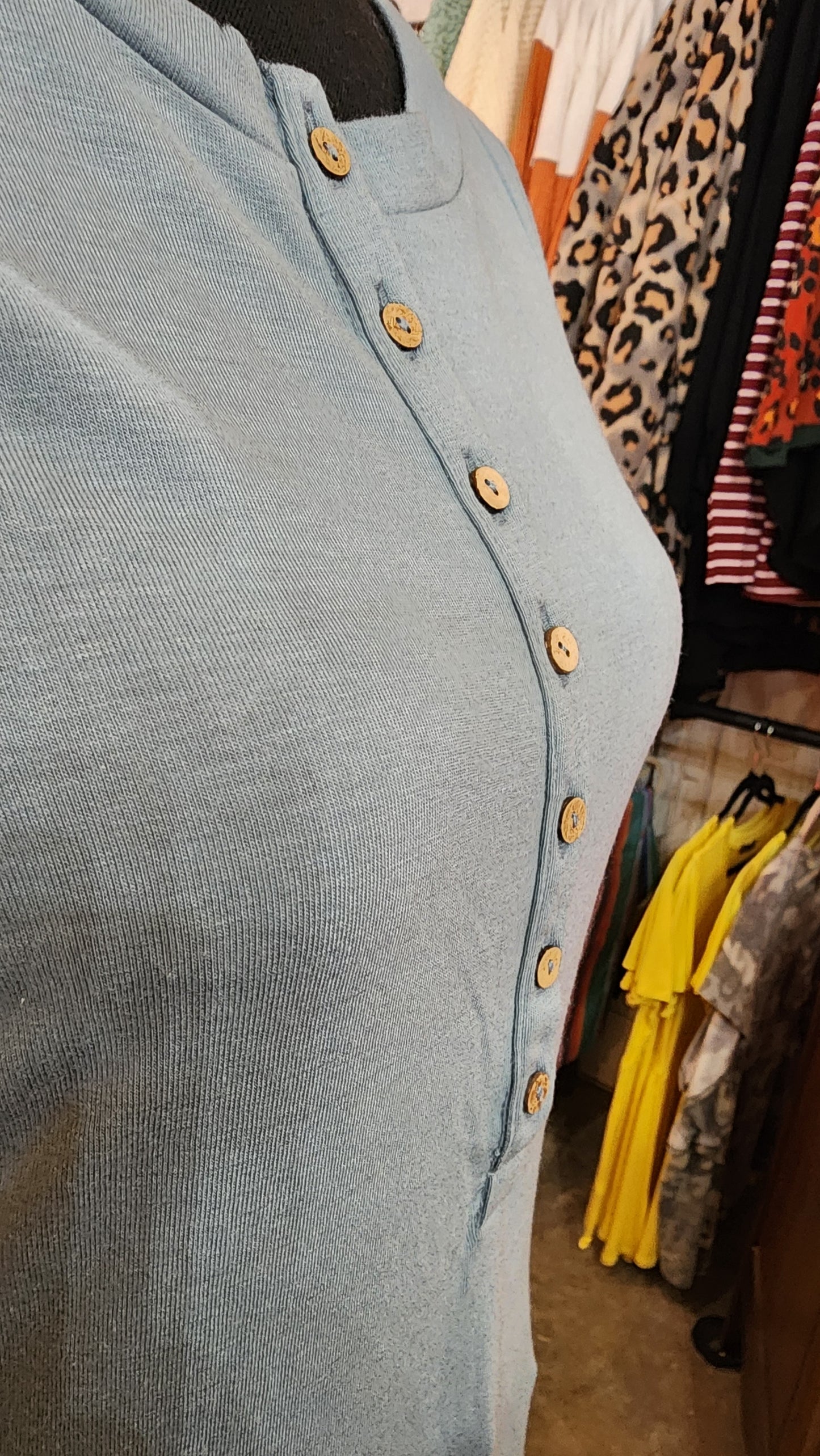 LONG SLEEVE BUTTON DOWN DRESS