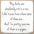5X5-204 My Ducks