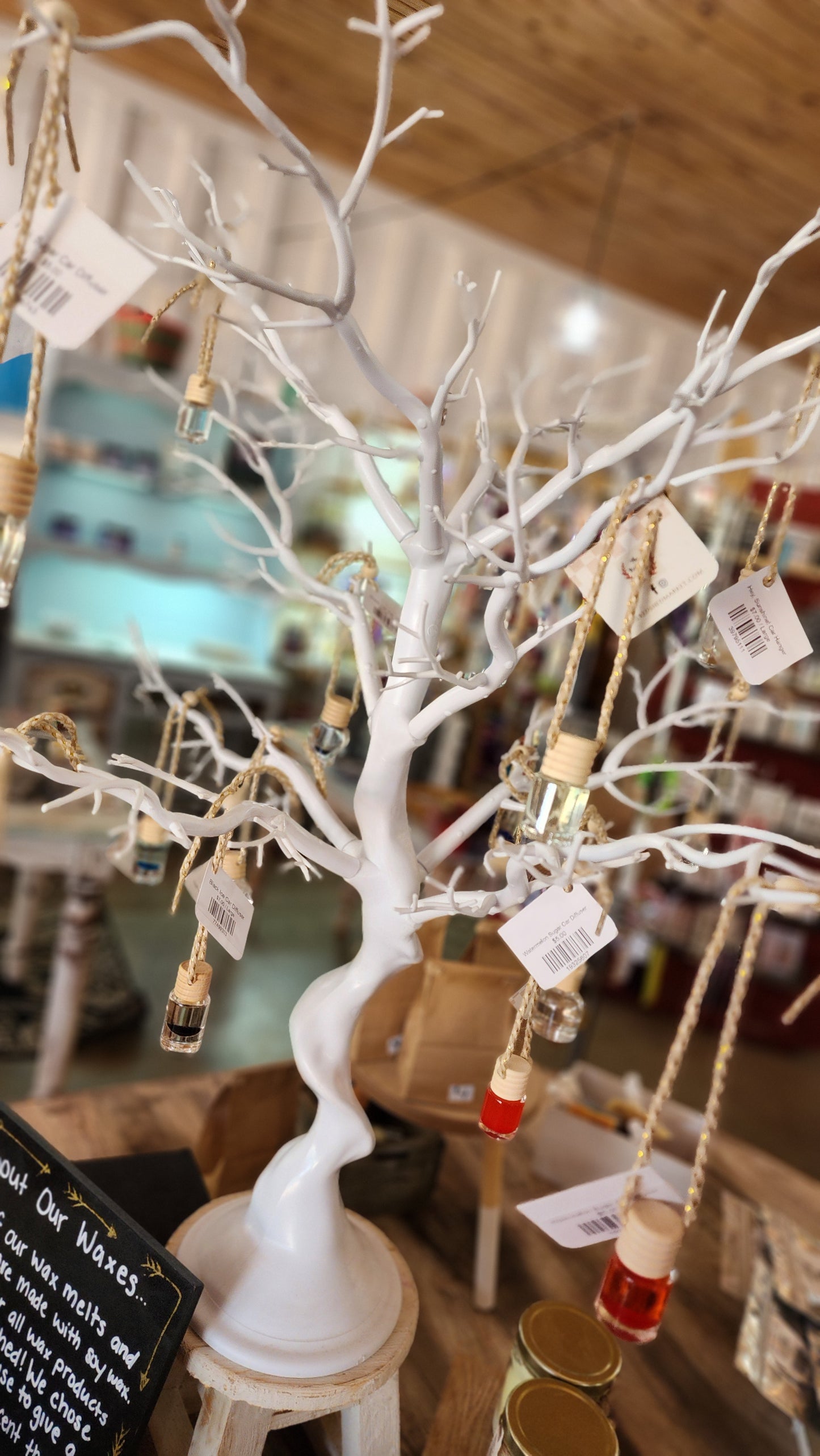 Watermelon Sugar Car Diffuser