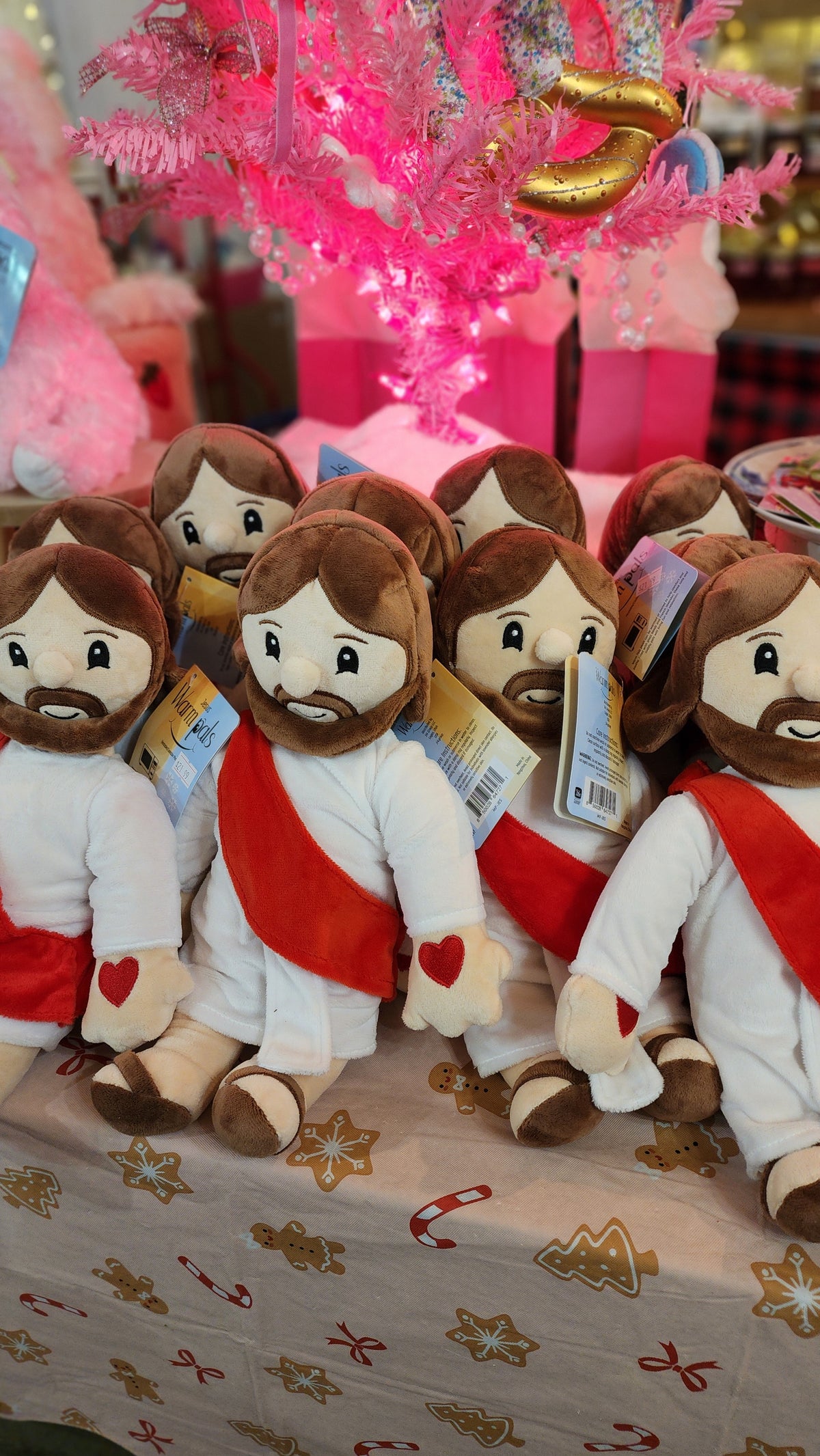 Jesus Warm Pal