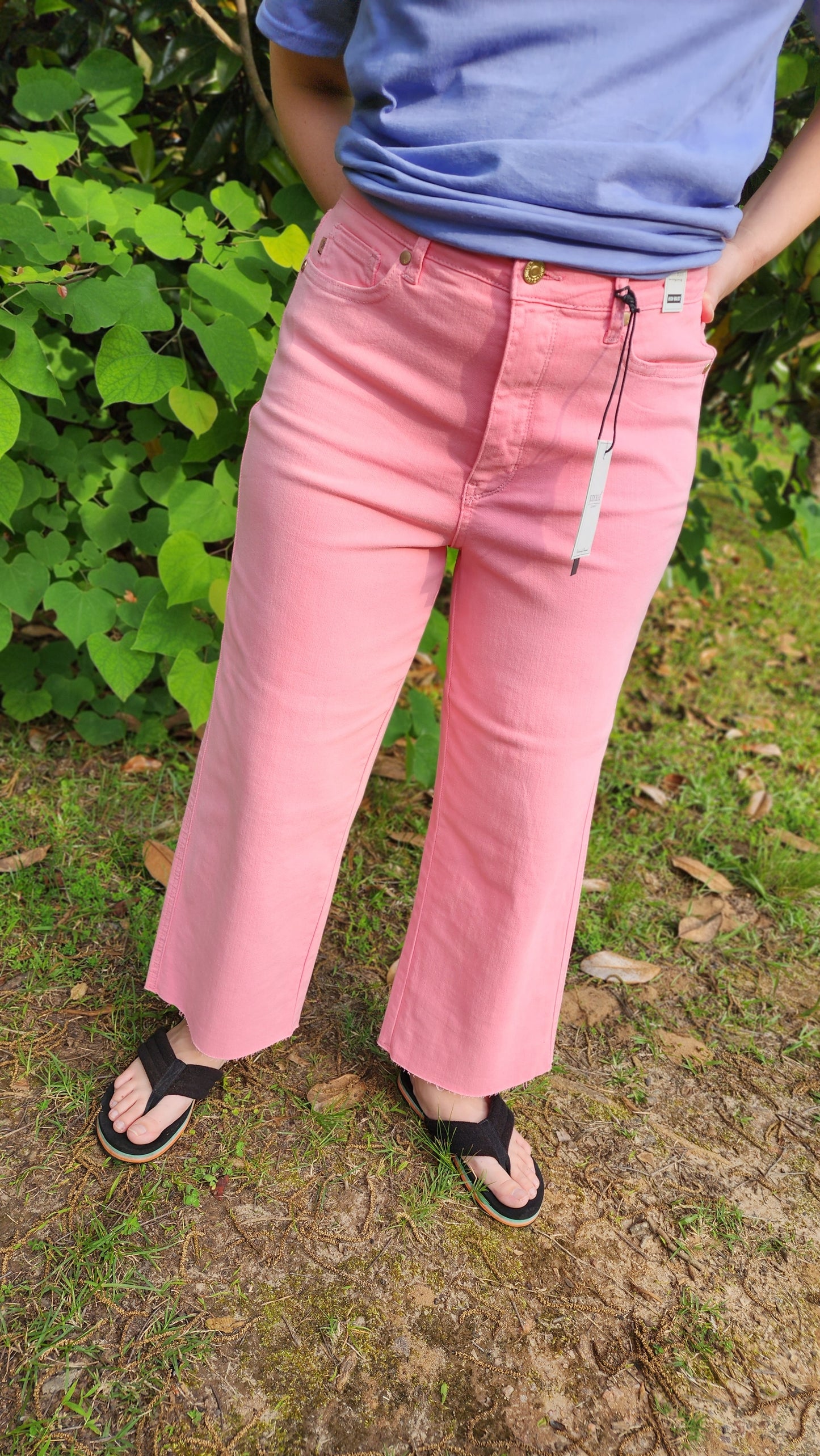Judy Blue Pink Capris