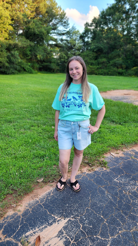 Judy Blue Shorts Rainbow Seam