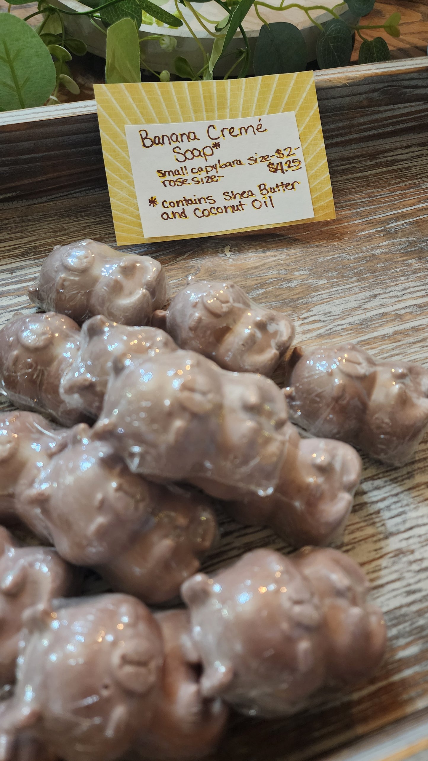 Capybara Hand and Body Soap
