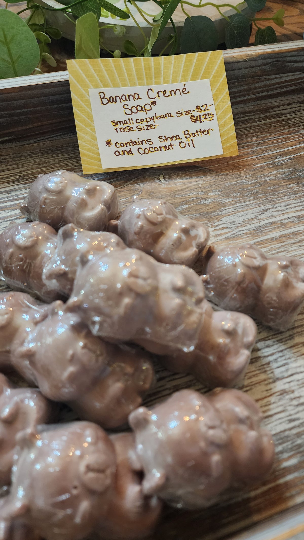 Capybara Hand and Body Soap